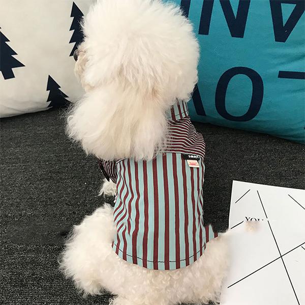 おしゃれなカラーワイシャツ　犬服 ペット 服　ドッグウェア 犬猫兼用 ワンちゃん用　ペット用品 ネコ雑貨｜pa-shop｜08