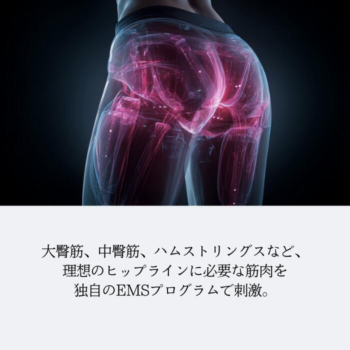 MYTREX（マイトレックス） EMS ヒップトレーニング お尻痩せ ヒップ
