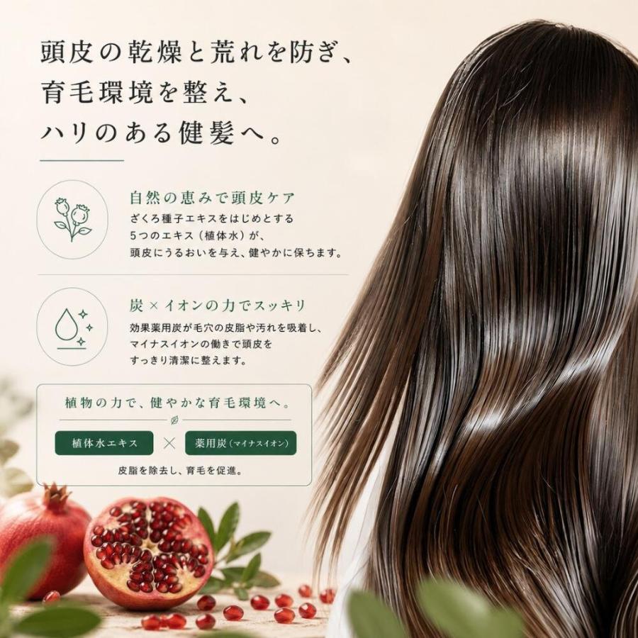 SUNNY PLACE（サニープレイス） ザクロ精炭酸 シャンプー 800mL