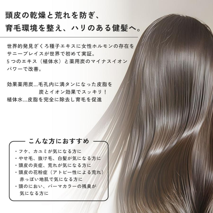 ★期間限定値下【まとめ買いでお得！】ザクロ精炭酸シャンプー詰替 800ml×5個 SUNNY PLACE（サニープレイス） ザクロ 精炭酸 シャンプー 800ml