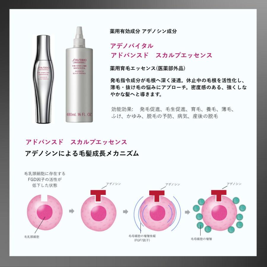 SHISEIDO アデノバイタル スカルプエッセンス 480mL 2本セット 楽天市場】 【 正規品 】 資生堂 アデノバイタル アドバンスト