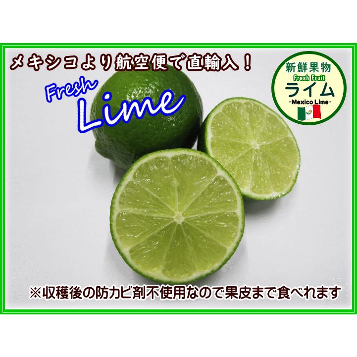 ａｉｒ便で直輸入 防カビ剤不使用 メキシコ産ライム大容量８８玉 Paci Mxlime s パシフィックコーポレーション 通販 Yahoo ショッピング