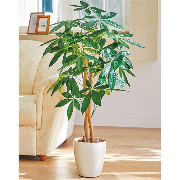史上最も激安 人工 観葉植物 造花 パキラ 約48 48 90cm インテリアグリーン リビング 店舗 ショップ お店 Ds パシフィックyahoo 店 通販 Yahoo ショッピング 日本産 M Mahdi Net