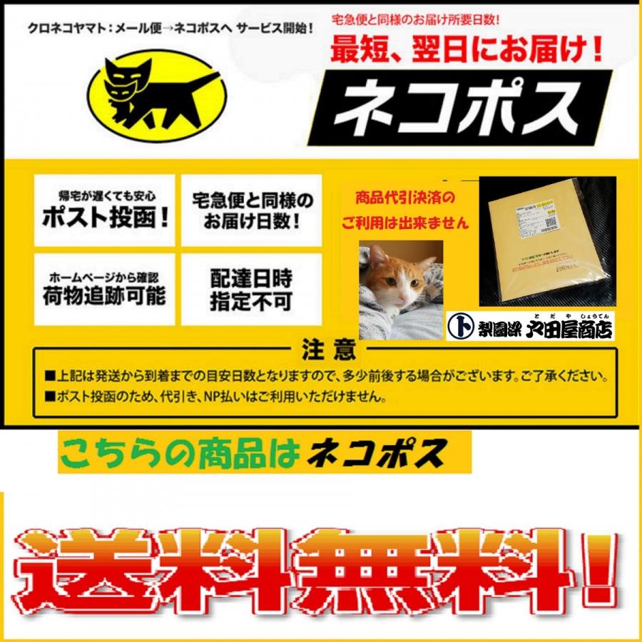 てぬぐい 蒸気機関車 SL 鉄道 列車 春 新緑 四季 大樹 銀河 999 ハンカチ タオル 晒もめん 梨園染 戸田屋商店 注染 贈り物 インテリア 趣味 ネコポス送料無料｜pack8983｜09