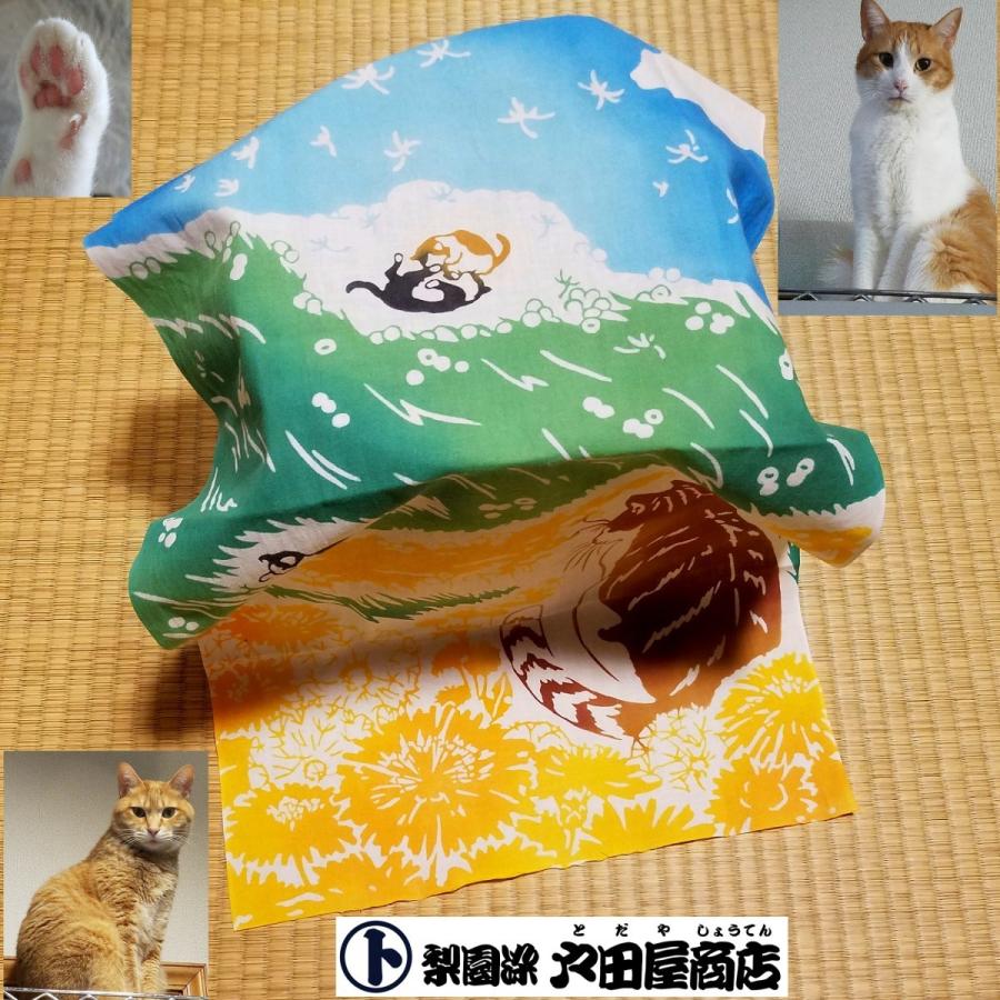 てぬぐい たんぽぽ 猫 ネコ ねこ にゃんこ キャット 土手 春 草