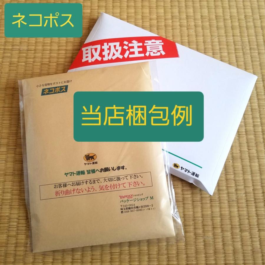 てぬぐい 月に雁 満月 渡鳥 冬 訪れ 四季 ハンカチ タオル 晒もめん 梨園染 戸田屋商店 注染 贈り物 インテリア 趣味 ネコポス送料無料｜pack8983｜09