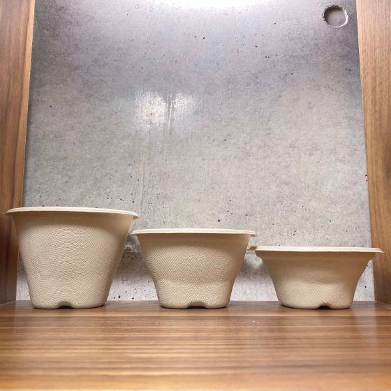 代引き 不可】1000枚・バガスモールド スープカップ 大 （約 500ml