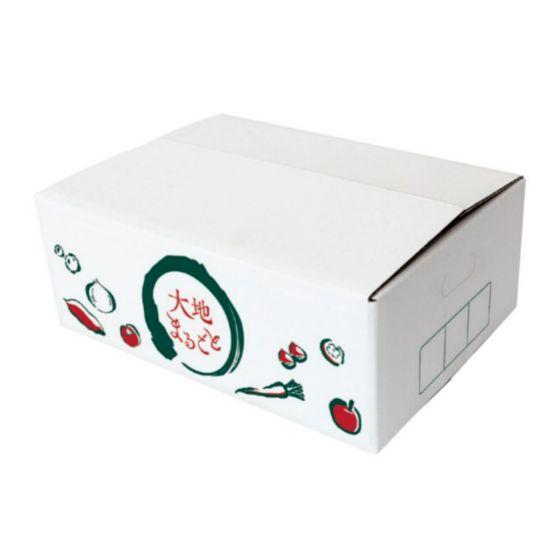食品 Mac様専用 フルーツミックス 5キロ箱