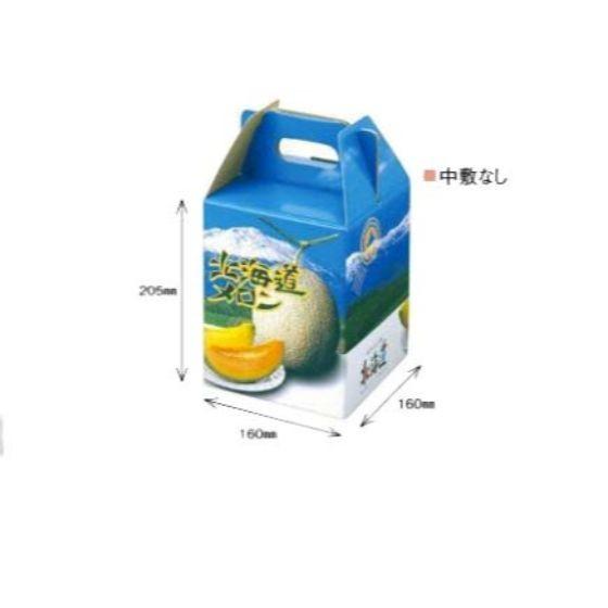 10枚】1ケ入・メロンBOX 北海道メロン D1 フルーツ 果物 贈答 箱