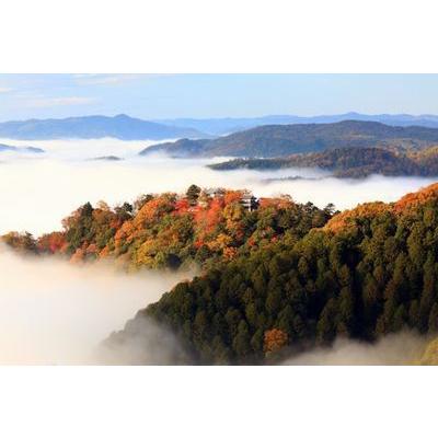 岡山県 高梁市 備中松山城 さんじゅーろー グッズ フェイスタオル C