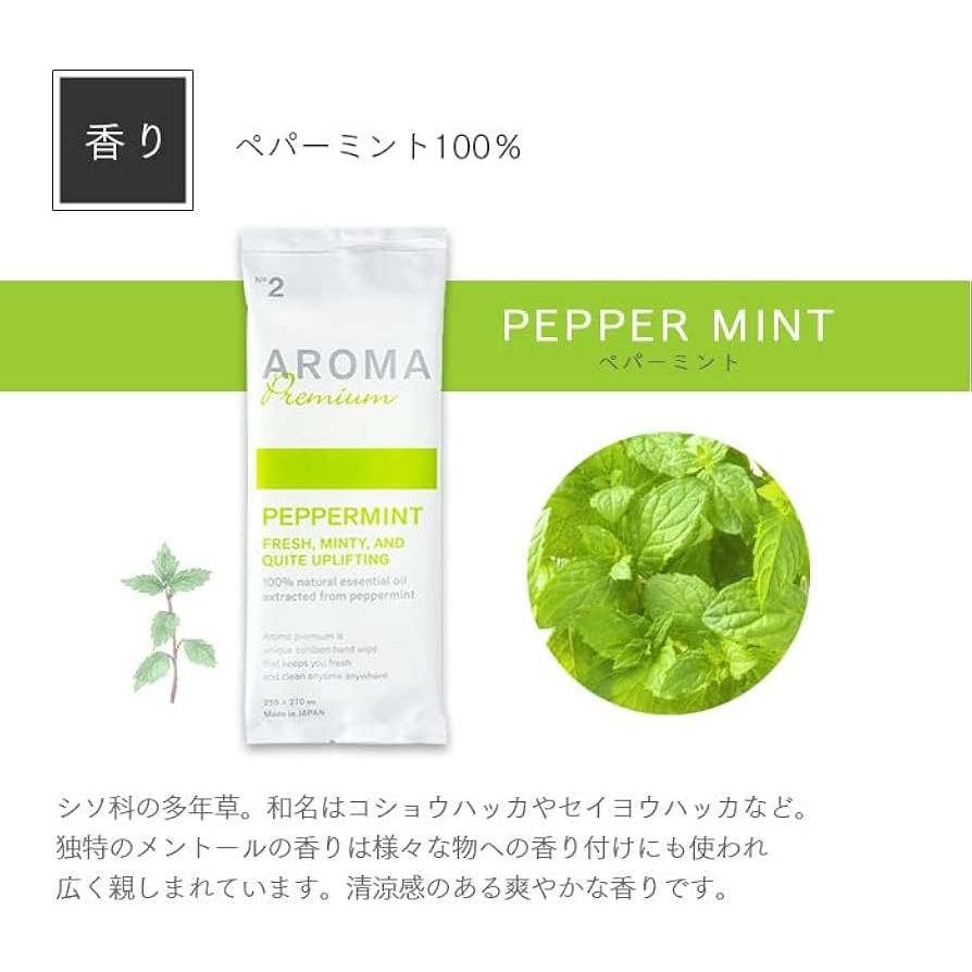 ★送料無料★ AROMAプレミアム 紙おしぼり PEPPERMINT ペパーミントの香り 30枚 FSX 抗菌 抗ウイルス おしぼりアロマ 厚手 大判 使い捨ておしぼり 不織布 |  | 04