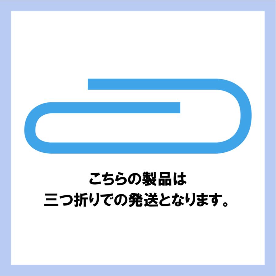 OPP袋 [A3]横320x縦530ミリ テープなし (100枚) 30ミクロン CP P080｜packinpack｜05