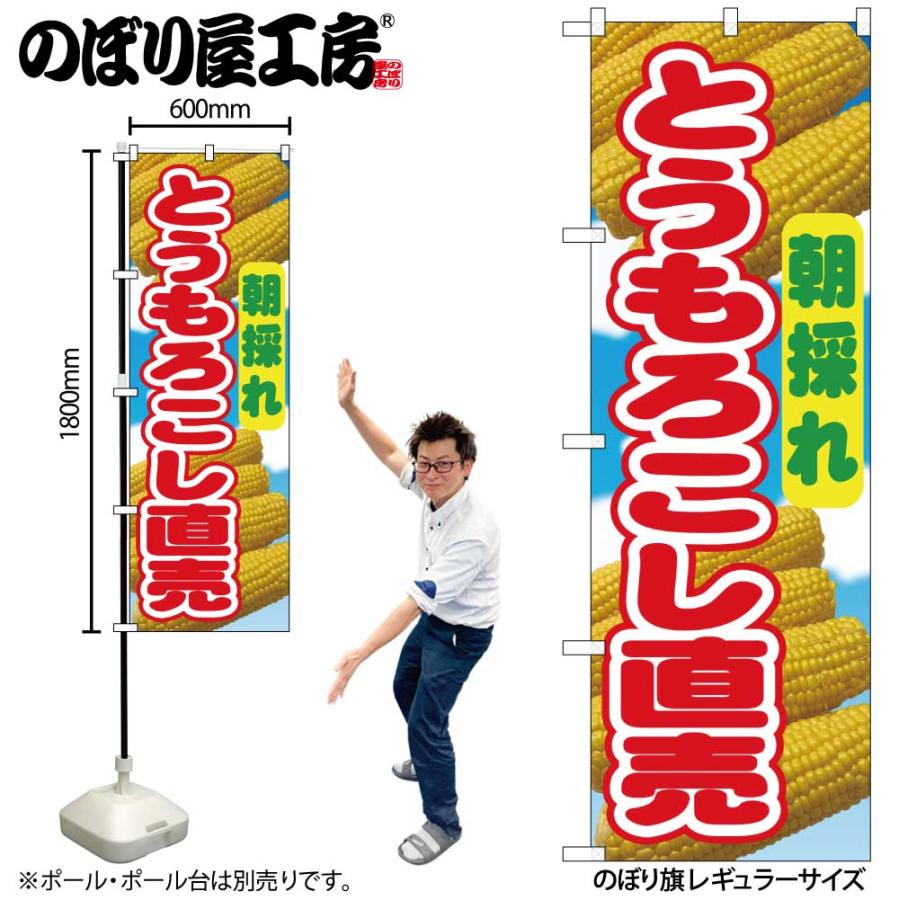 のぼり のぼり旗 とうもろこし直売 朝採れ 54869 W60×H180cm 1枚