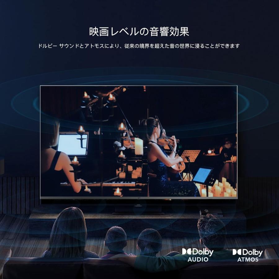 FPD チューナーレステレビ 55V型 4K Google TV ネット動画対応 FPD チューナーレステレビ 55V型 4K Google TV ネット動画対応