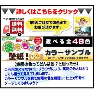 カラーサンプル 塗っちゃえ壁紙 プレミアム２ 0 0 0 ペイントアシスト ラッキー 通販 Yahoo ショッピング