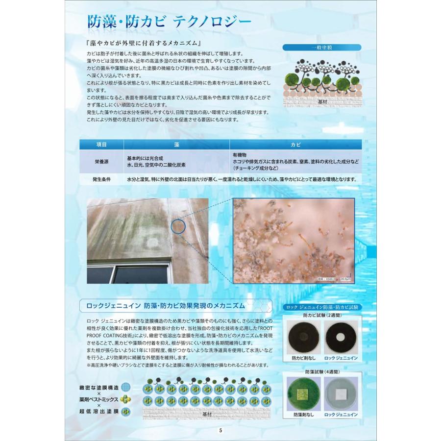 ロックペイント ロック ジェニュイン 各色 15kg 水性 無機 無機系塗料