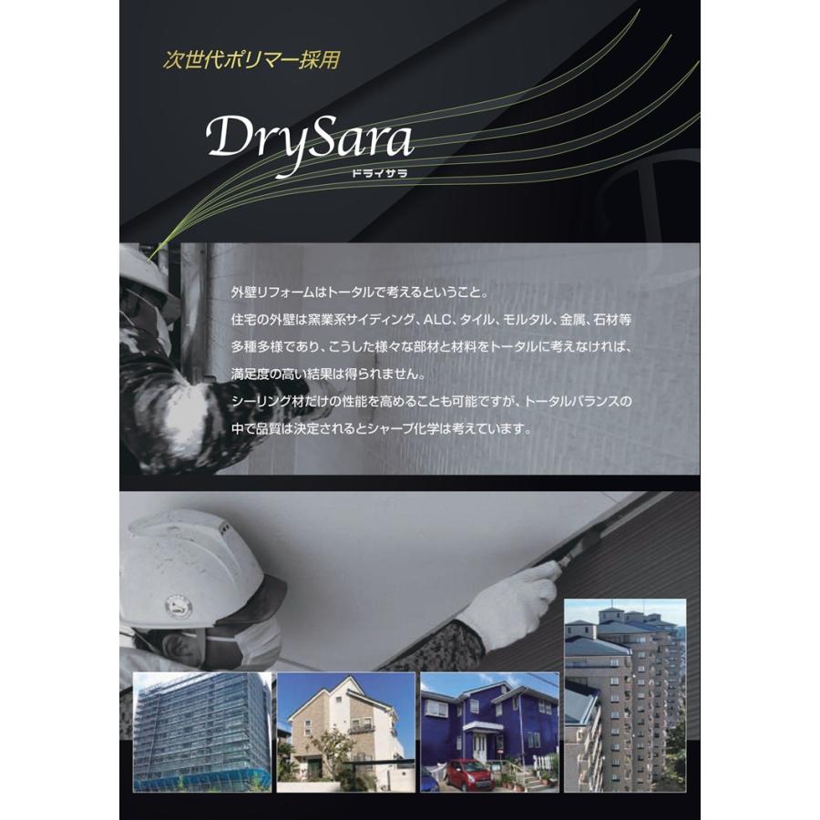 シャーピー ドライサラ 高耐候 DrySara 10本 シーリング材 建築 変成 