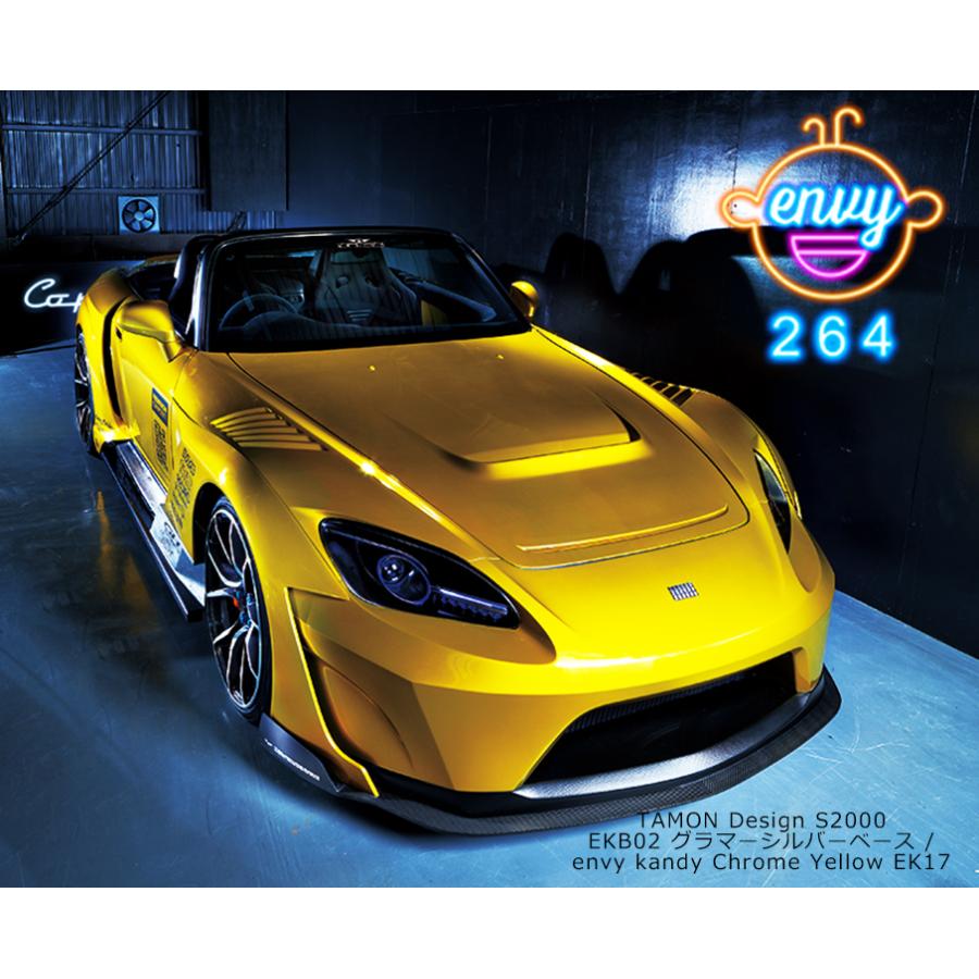 envyKandyColor 50g 各色（EK19〜EK22）【SHOW UP】 : ペイントオール