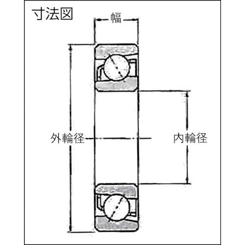 64%OFF!】 PAINT AND TOOLＮＴＮ Ｈ 大形ベアリング 7226