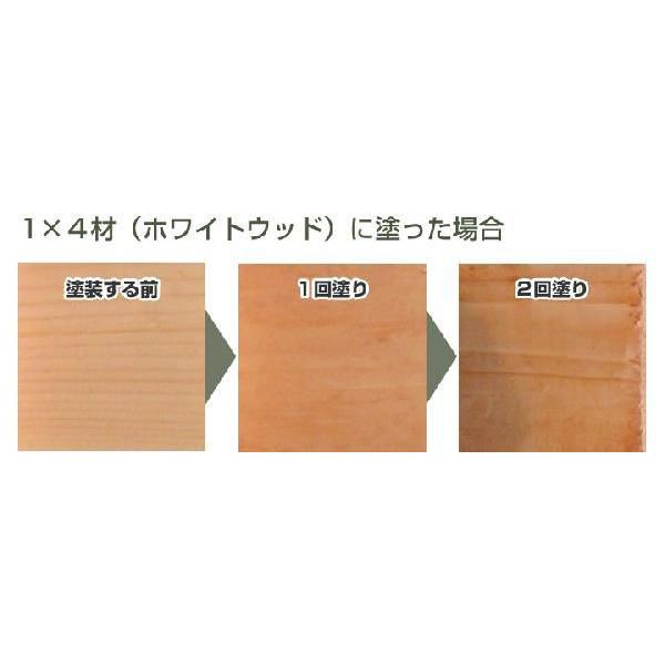 ターナー 【期間限定P10倍】 無臭柿渋 20L (純天然素材 ターナー 【期間限定P10倍】 無臭柿渋 20L (純天然素材