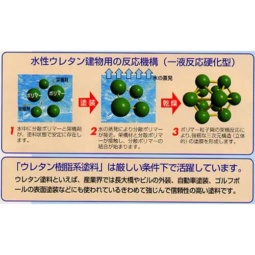 水性 ウレタン建物用 0 7l サンデーペイント 超速乾つやあり Ex 187 ペイントジョイyahoo 店 通販 Yahoo ショッピング