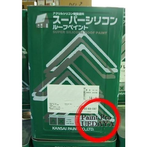 55540085_6