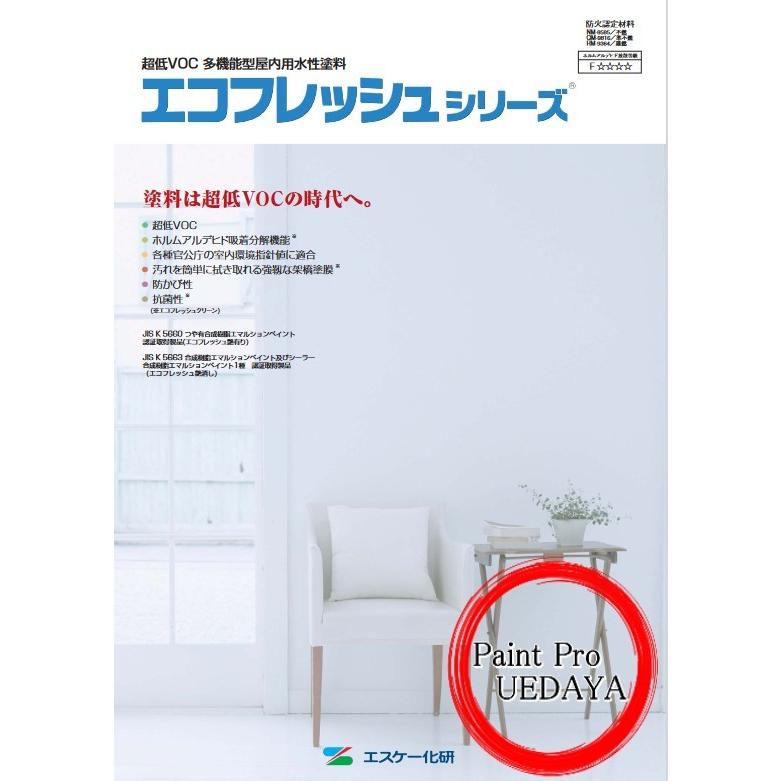 エコフレッシュクリーン 艶有 常備色・淡彩色 エスケー化研 : ペイント 