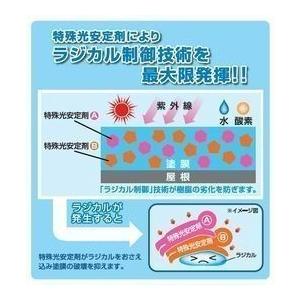 ファインパーフェクトベスト ローマオレンジ 14kgセット ファインパーフェクトベスト ローマオレンジ 14kgセット
