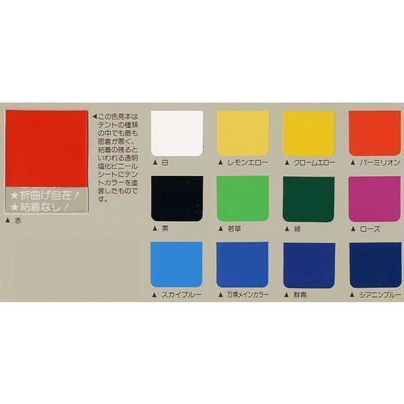 テントカラー 万博メインカラー 容量 3リットル : PaintShopペン テントカラー 万博メインカラー 容量 3リットル : PaintShopペン