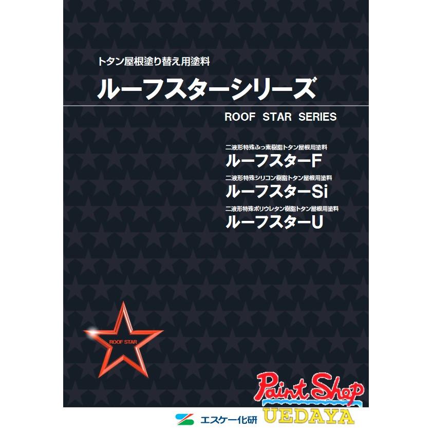 ルーフスターSI 16Kセット A色 艶有 エスケー化研 : ペイントショップ