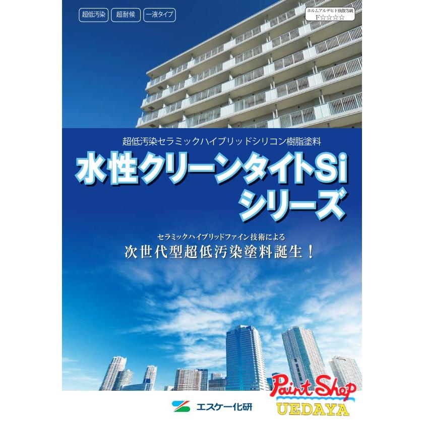 水性クリーンタイト Si 標準色・淡彩色 艶有 4K エスケー化研 