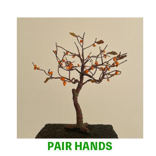 柿の木 : ペアーハンズYahoo!店 - 通販 - Yahoo!ショッピング