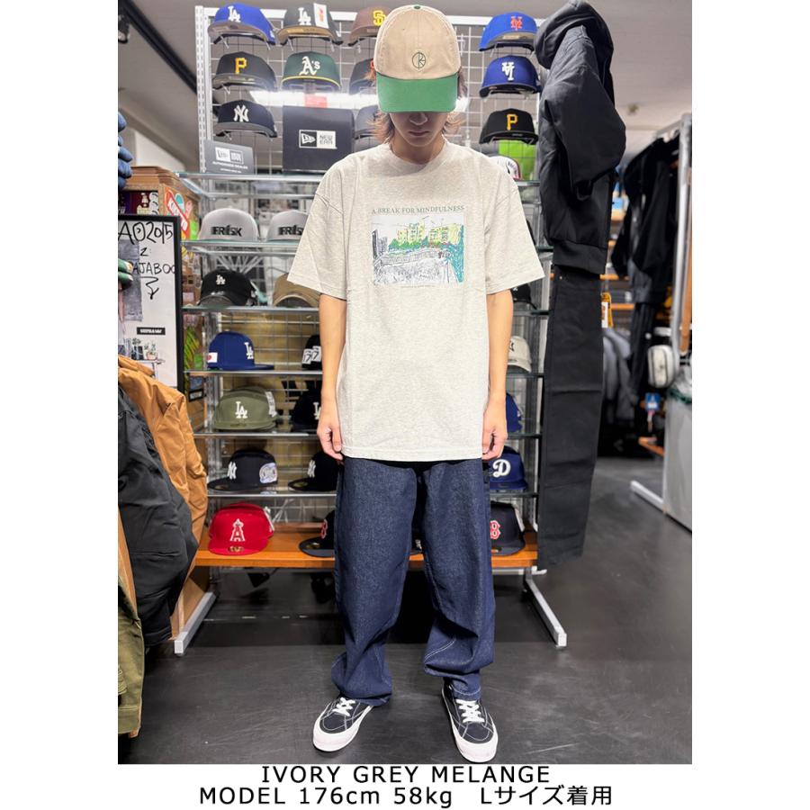 ポーラースケートカンパニー Tシャツ POLAR SKATE CO. MINDFULNESS TEE