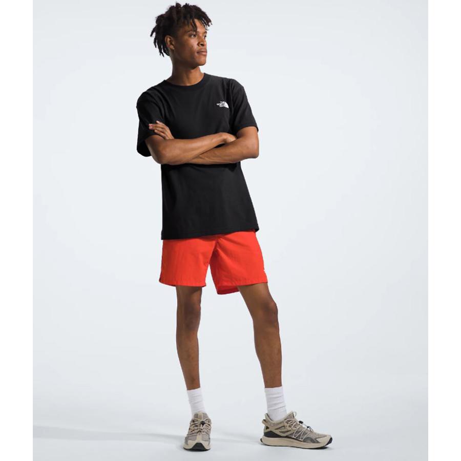 THE NORTH FACE ザ ノースフェイス Tシャツ S/S EVOLUTION BOX