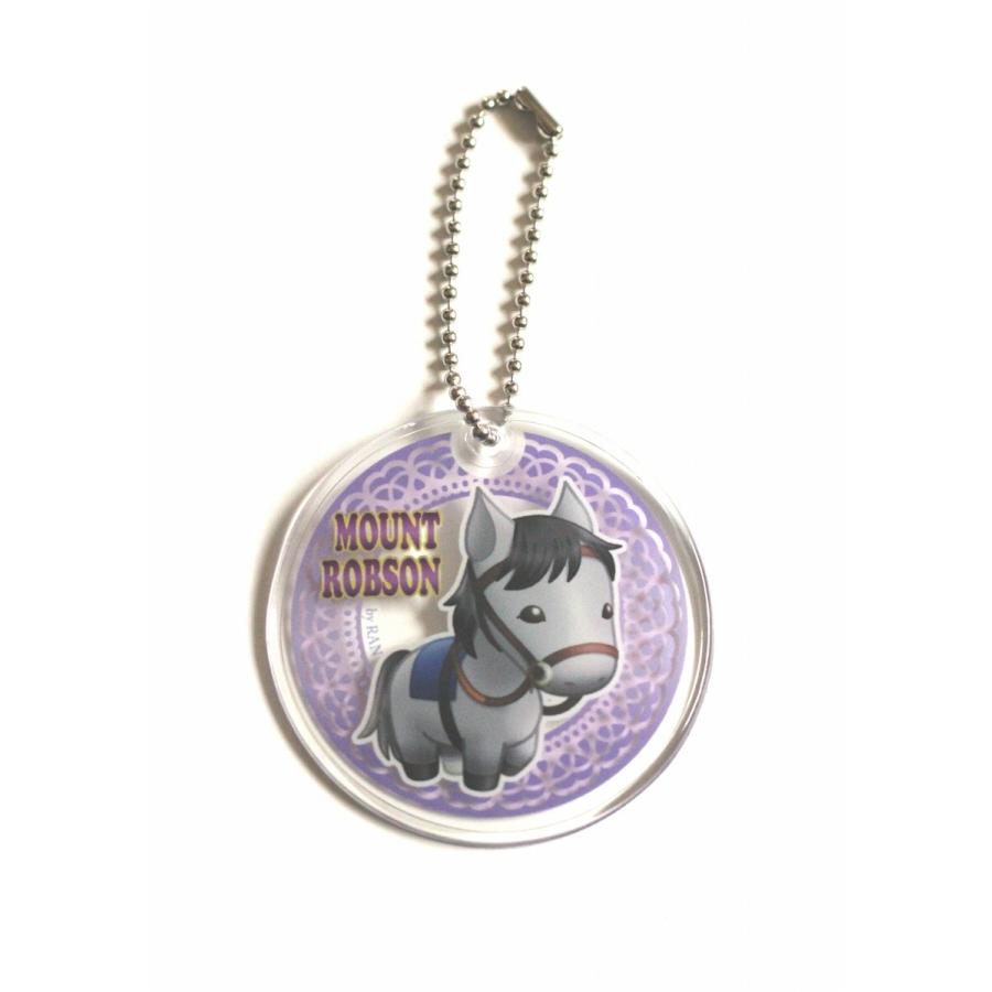 大幅にプライスダウン クリアチャーム マウントロブソン