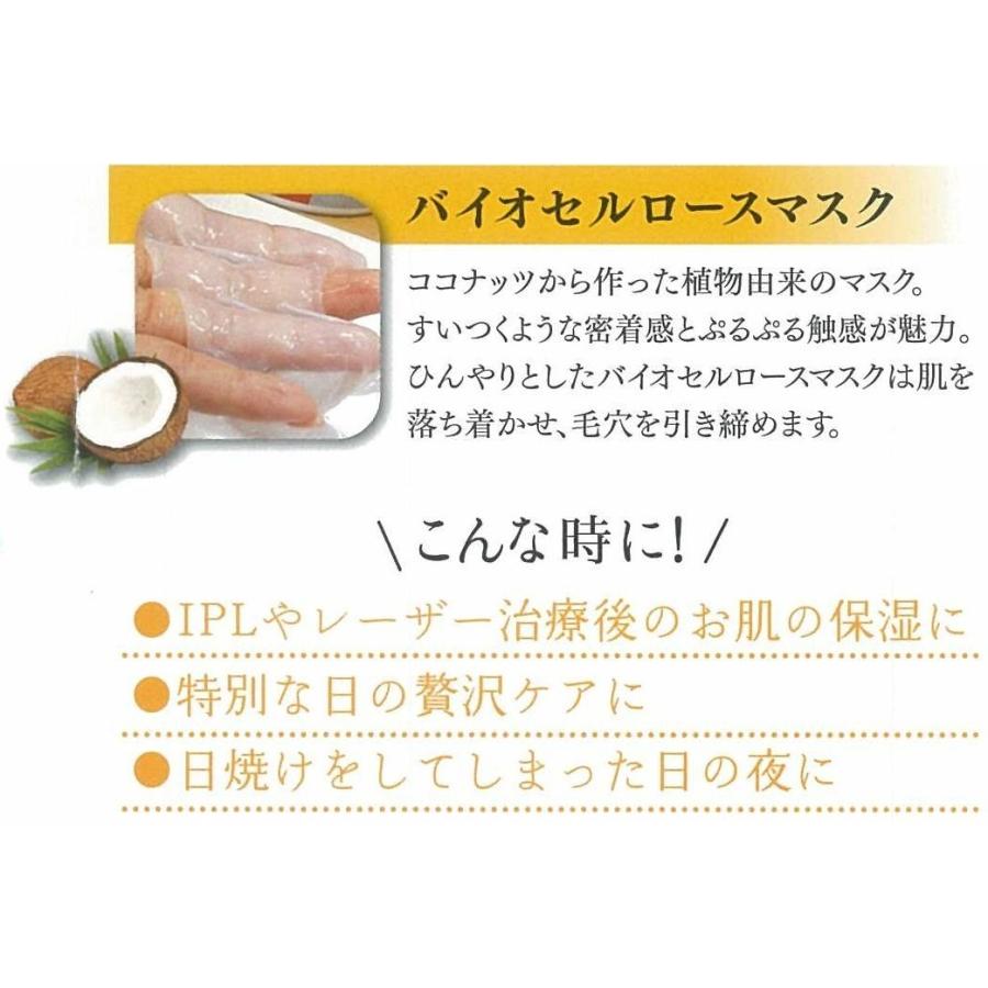 スノーヴィットフェイシャルエッセンスマスク10枚