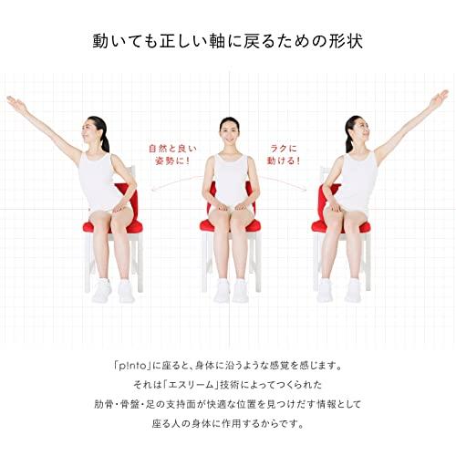 SOU・SOU × p!nto コラボ商品 正しい姿勢の習慣用座布団 クッション（pinto）ピント［菊づくし］ SOU nto pinto