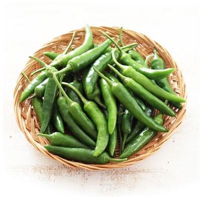 冷蔵 辛口 青唐辛子|チョンヤンコチュ(300g・韓国産) 韓国野菜 冷蔵 辛口 青唐辛子|チョンヤンコチュ(300g・韓国産) 韓国野菜