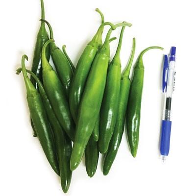 冷蔵 食材 美人青唐辛子 甘口 0g 韓国産 生唐辛子 甘長トウガラシ 辛さ控えめ 野菜 韓国食材 韓国料理 韓国食品 P127 2 八道韓国食品 通販 Yahoo ショッピング