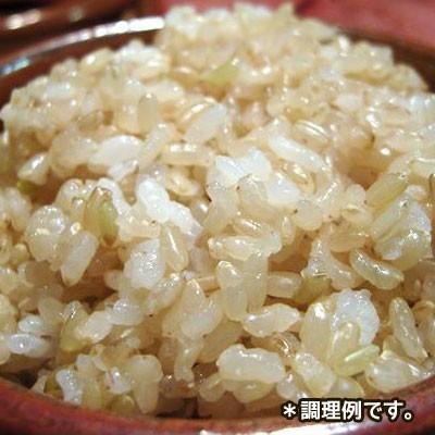 JANGSU YANGHEAHG もち米玄米 (800g・韓国産) 玄米 お米 : 八道韓国
