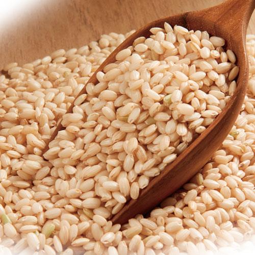 JANGSU YANGHEAHG もち米玄米 (800g・韓国産) 玄米 お米 : 八道韓国