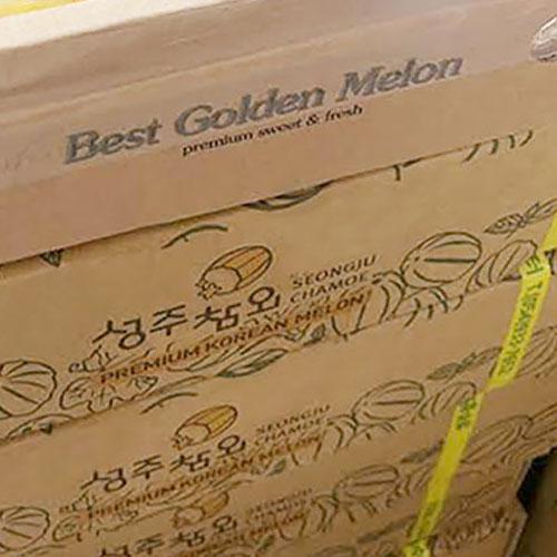 韓国産 チャメ メロン 10kg Mサイズ 甘い サクサク食感 大容量 冷蔵 約