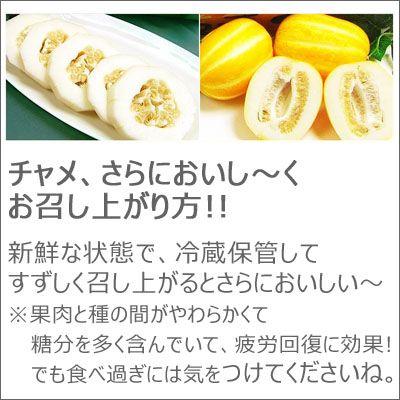 韓国産 チャメ メロン 10kg Mサイズ 甘い サクサク食感 大容量 冷蔵 約