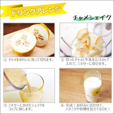 韓国産 チャメ メロン 10kg Mサイズ 甘い サクサク食感 大容量 冷蔵 約