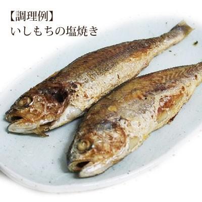 冷凍 海産物 石持 イシモチ チョギ 3匹 韓国産 韓国食材 韓国食品 P324 1 八道韓国食品 通販 Yahoo ショッピング