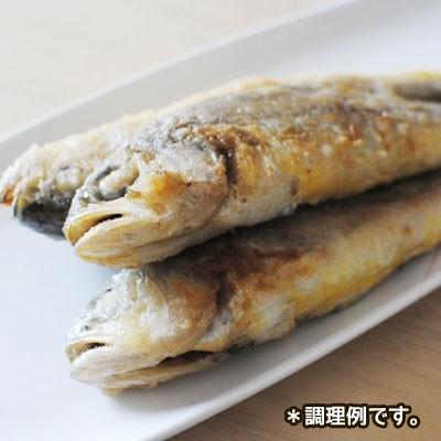 冷凍 アッシ 石持 チャムチョギ 15 16匹 2 26kg 中国産 イシモチ 魚類 P324 2 八道韓国食品 通販 Yahoo ショッピング