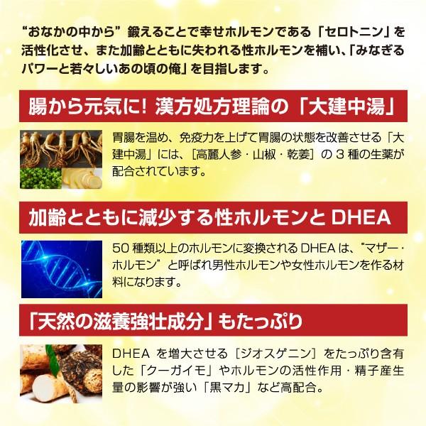 ヴィグマックス 男性 滋養強壮 サプリメント 黒マカ 大建中湯 Vim001 Palette For Men 通販 Yahoo ショッピング