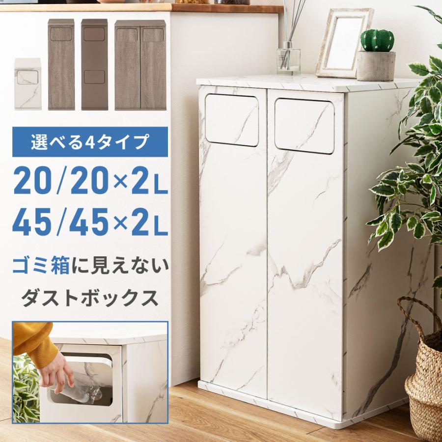 ゴミ箱 おしゃれ 棚下 店舗 お店 分別 2段 ごみ箱 ダストボックス