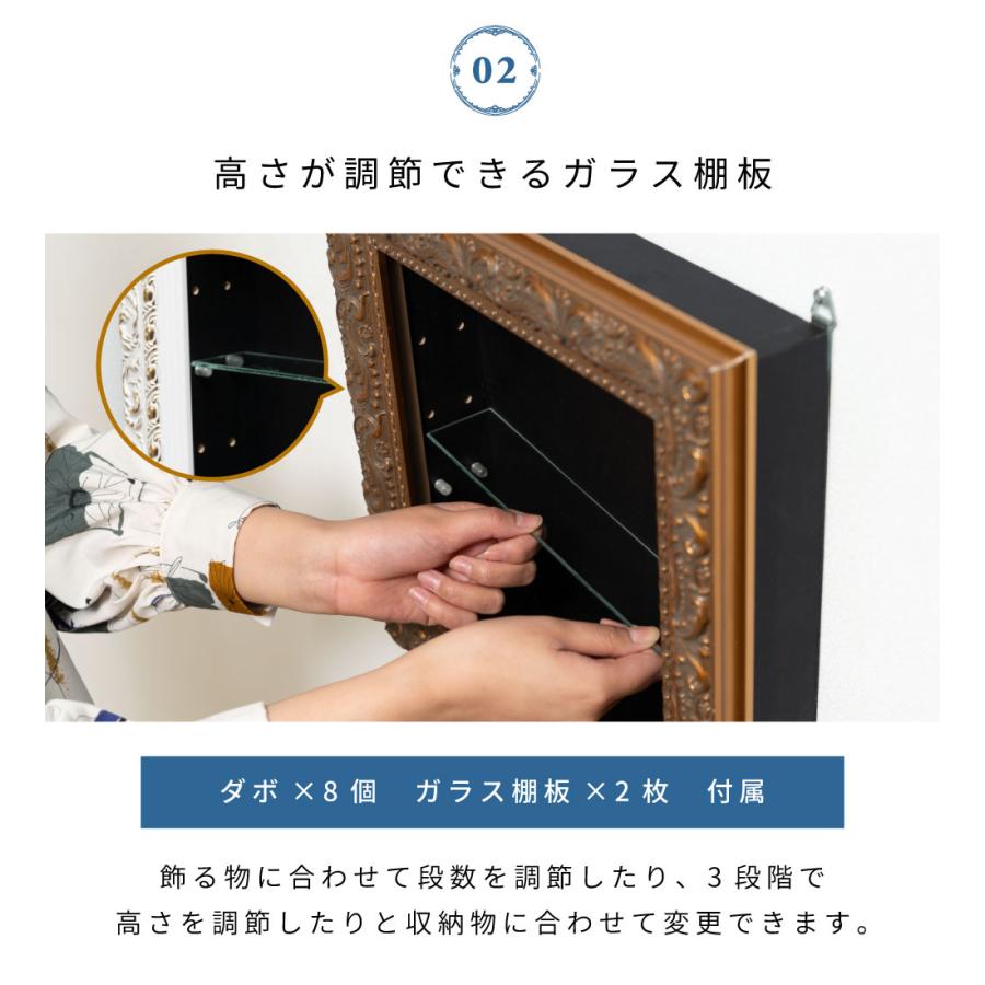コレクションケース ウォールラック 棚板高さ調節 額縁 ディスプレイ