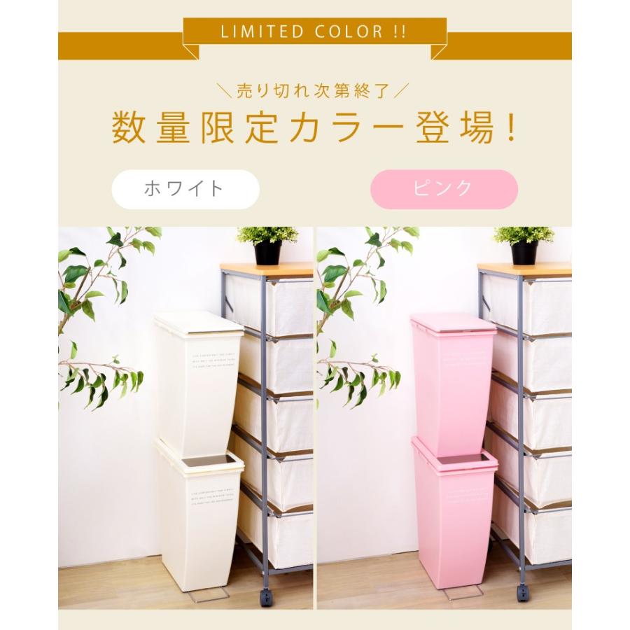RISU（リス） ゴミ箱 20リットル おしゃれ 分別 ごみ箱 ダストボックス